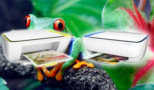 Análise: Impressora Multifuncional Deskjet Advantage 3636W e 2126